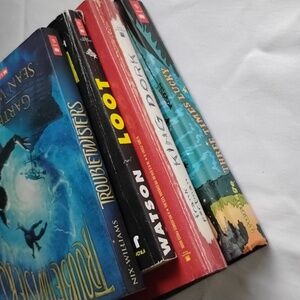 Chapter Books Bundle Of 4 Kids Teens Young Adult Hardcover Paperback